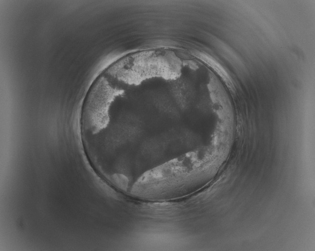 X0000116481055200912292042