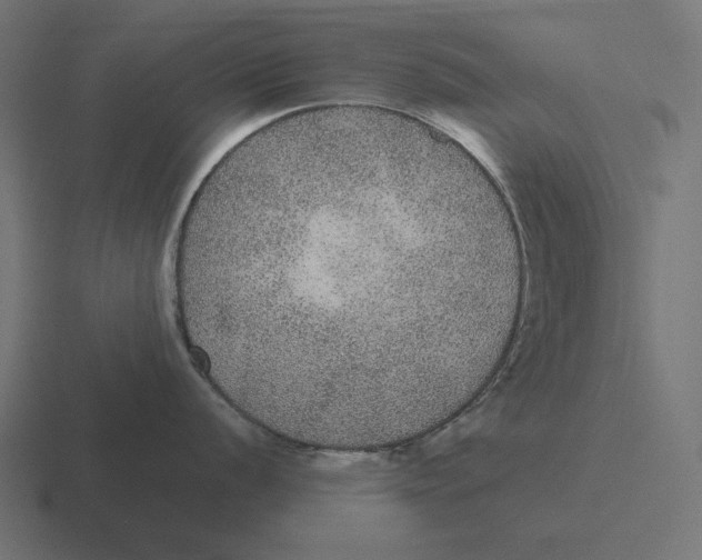 X0000116481056200912292042