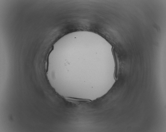 X0000116481057200912292042