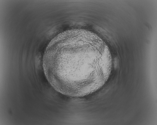 X0000116481059200912292042