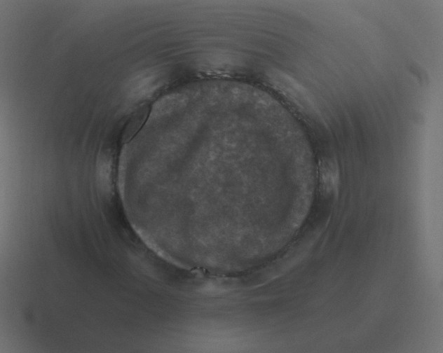 X0000116481060200912292042