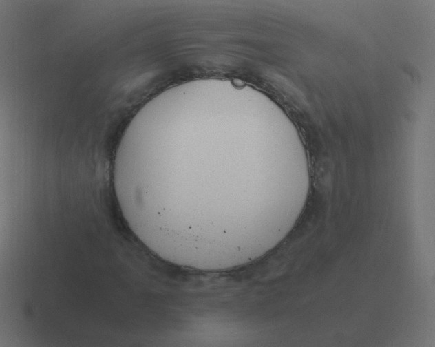 X0000116481061200912292042