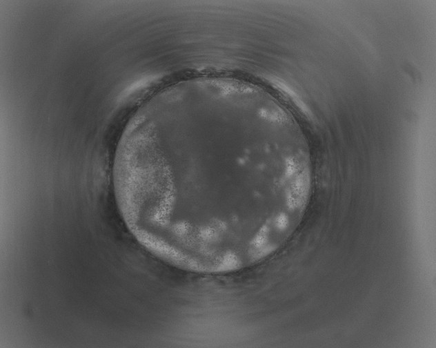 X0000116481063200912292042