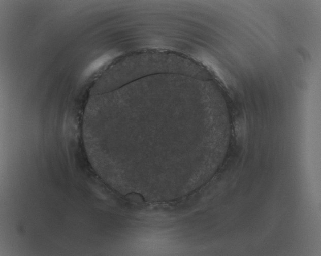 X0000116481064200912292041