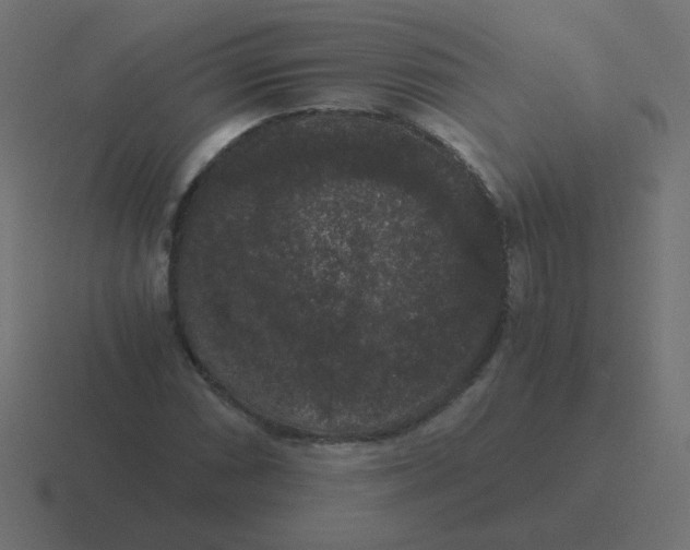 X0000116481066200912292041