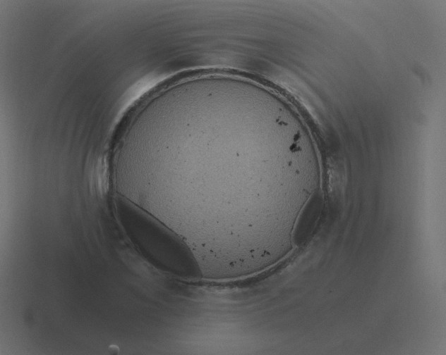 X0000116481069200912292041