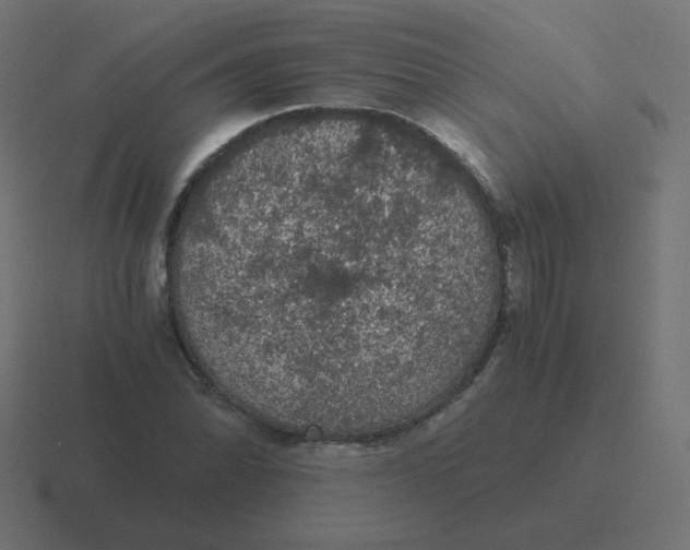 X0000116481070200912292041