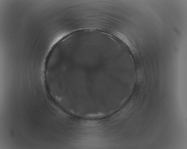 X0000116481071200912292041