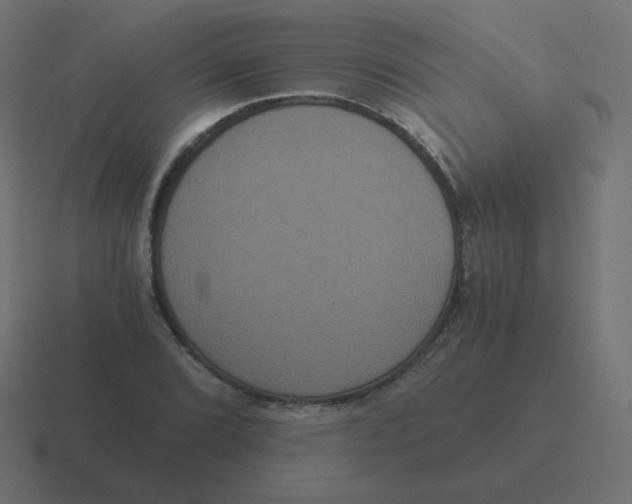 X0000116481072200912292041