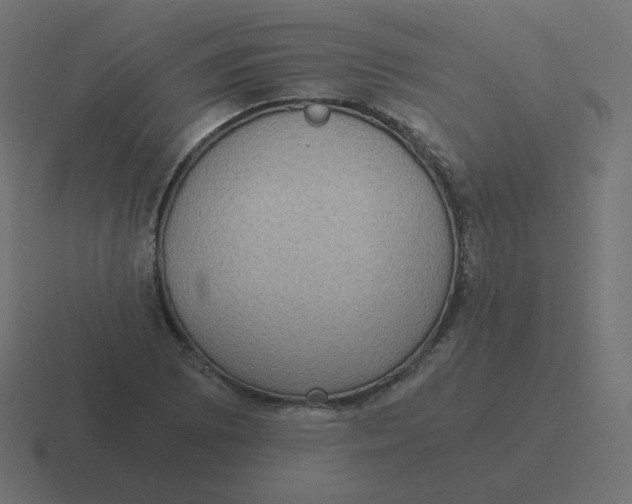 X0000116481073200912292041