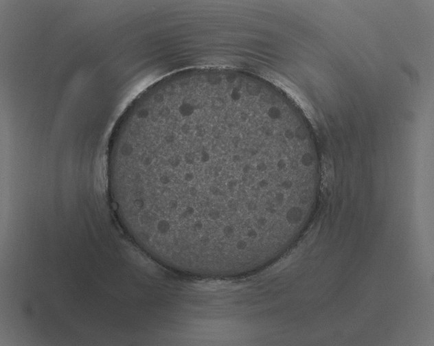 X0000116481075200912292041