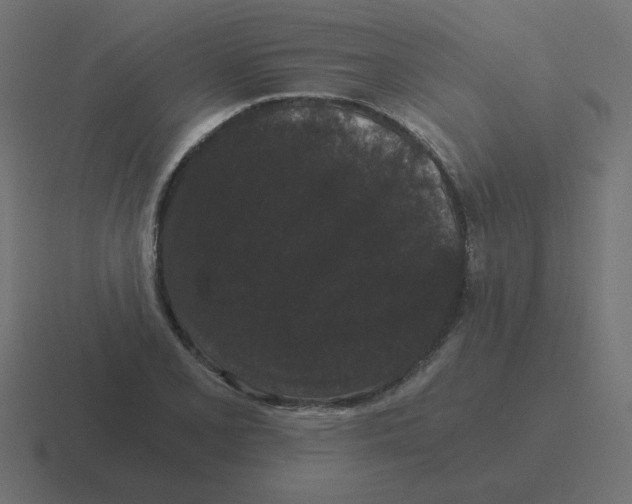 X0000116481077200912292041