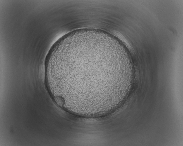 X0000116481079200912292041