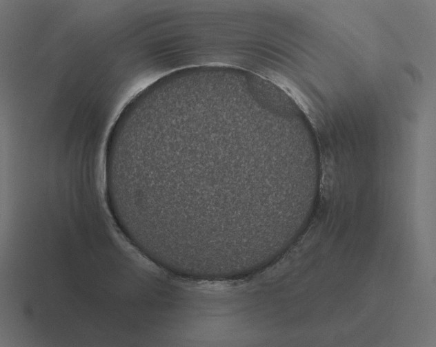 X0000116481080200912292041