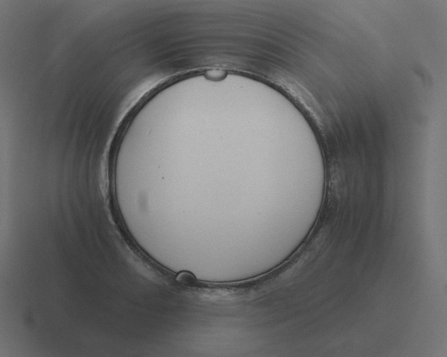 X0000116481082200912292041