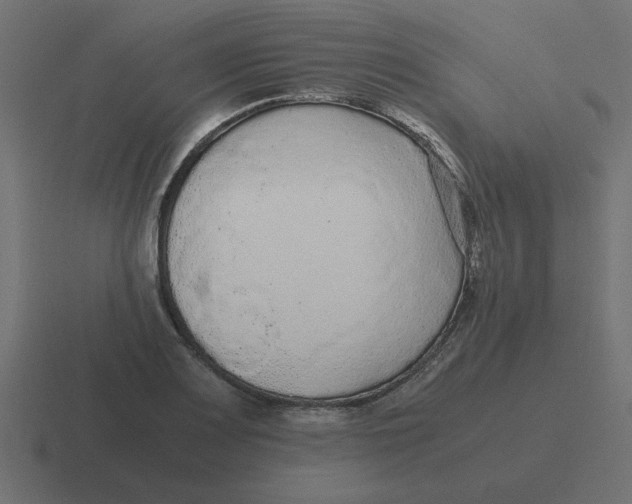 X0000116481083200912292041