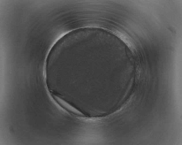 X0000116481084200912292041