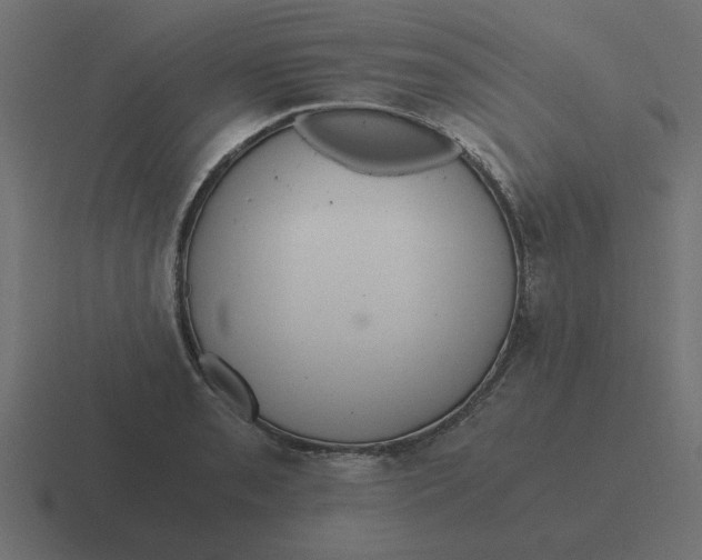 X0000116481085200912292041