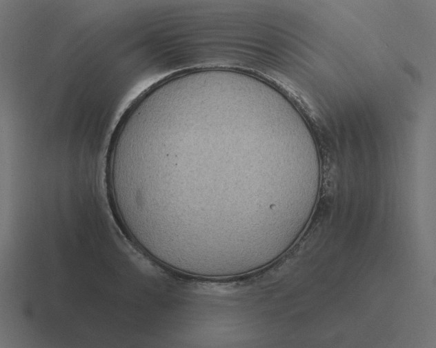 X0000116481086200912292041