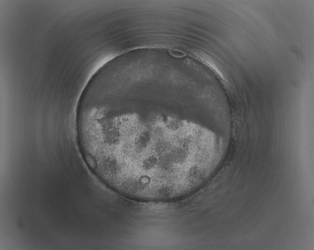 X0000116481087200912292041