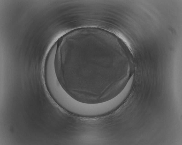 X0000116481088200912292041