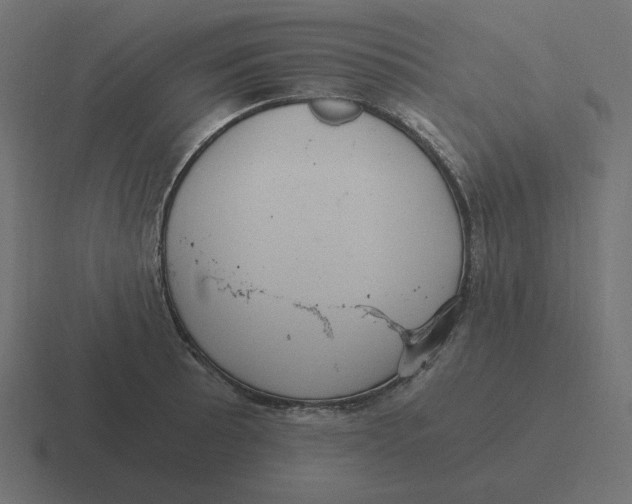 X0000116481089200912292041