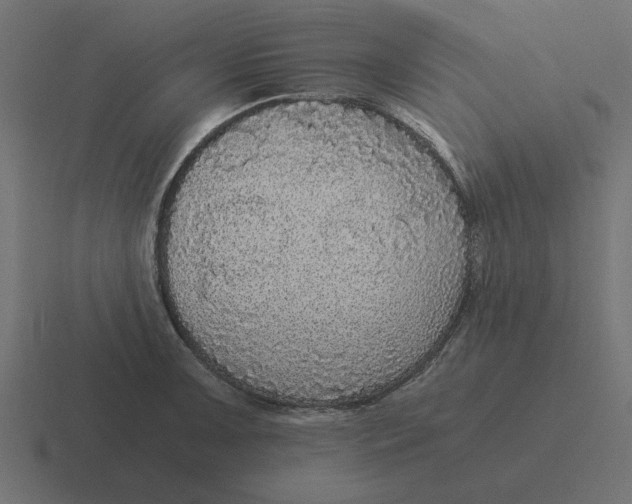 X0000116481091200912292041