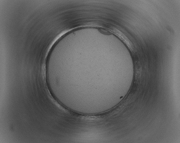 X0000116481092200912292041