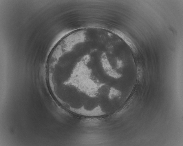 X0000116481094200912292041