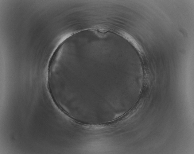 X0000116481095200912292041