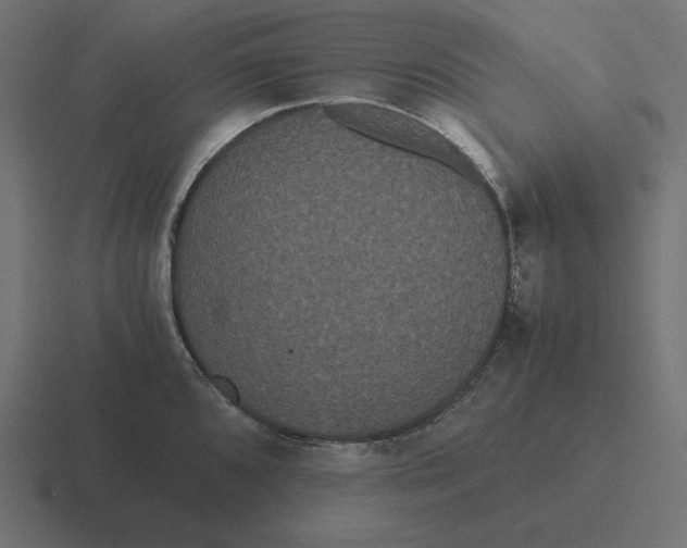 X0000116481096200912292041