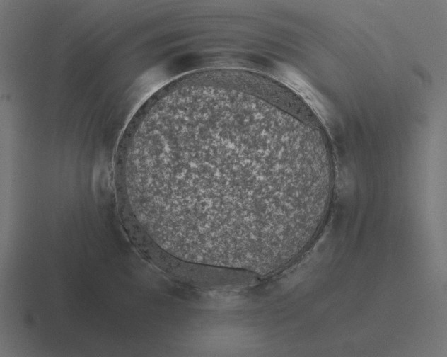 X0000116481097200912292041