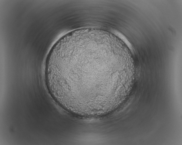 X0000116481099200912292041