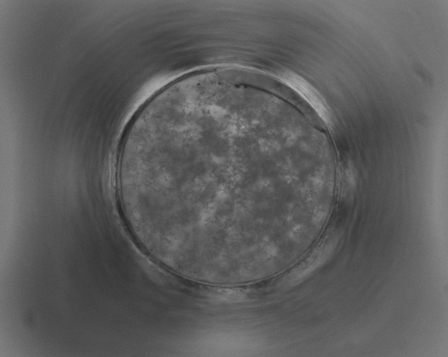 X0000116481101200912292041