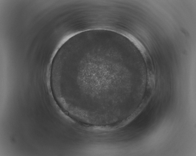 X0000116481102200912292041