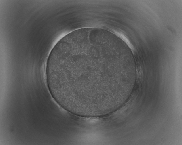 X0000116481103200912292041