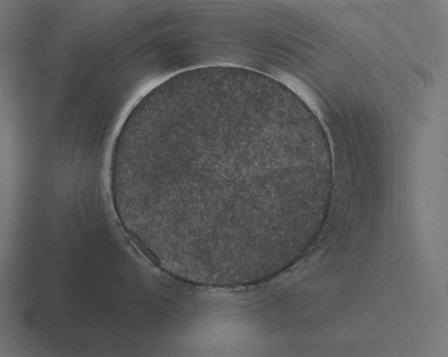 X0000116481104200912292041