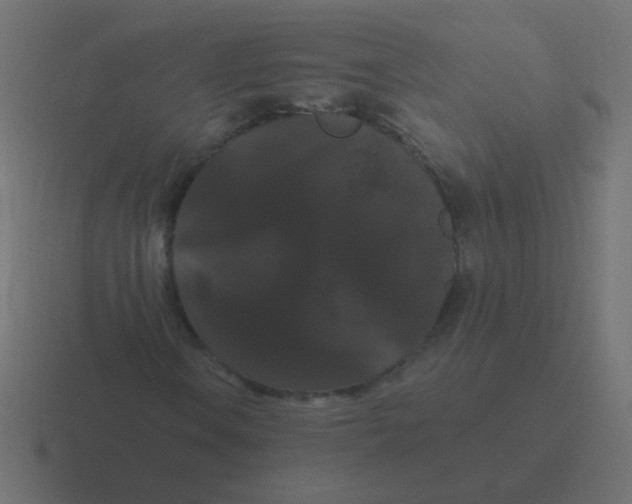 X0000116481106200912292040