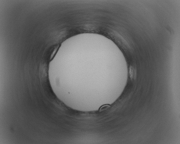 X0000116481107200912292040