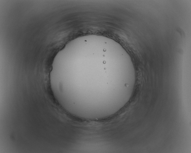 X0000116481109200912292040