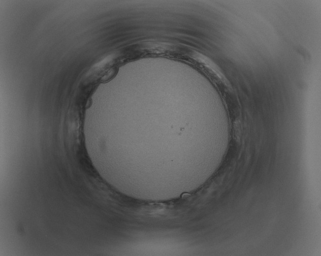 X0000116481111200912292040