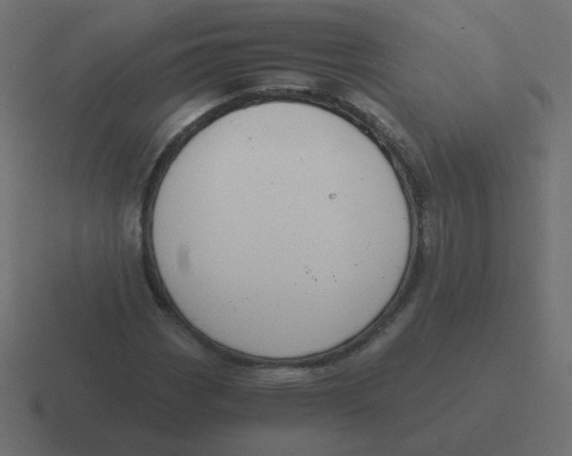 X0000116481113200912292040