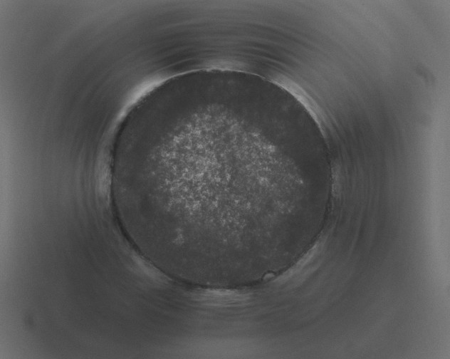 X0000116481115200912292041