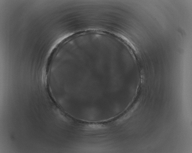 X0000116481117200912292041