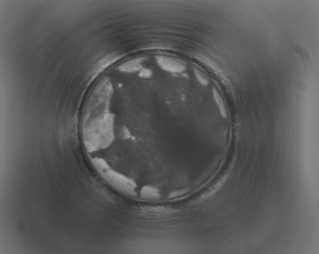 X0000116481121200912292041