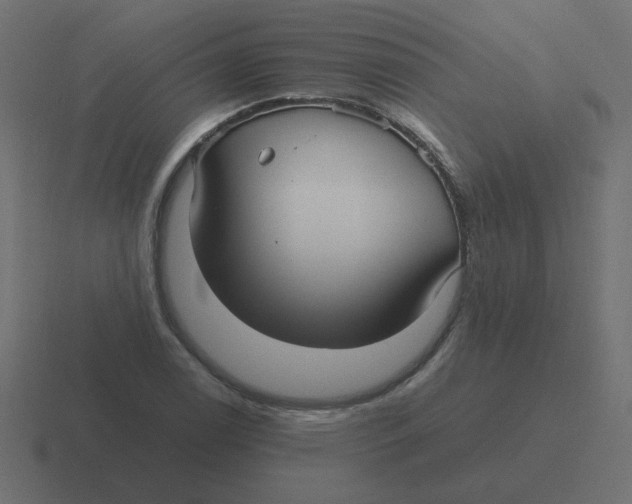 X0000116481122200912292041