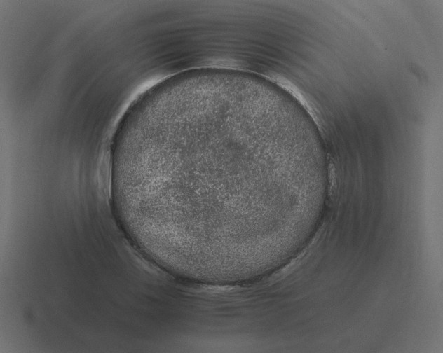 X0000116481123200912292041