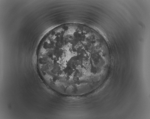 X0000116481125200912292041