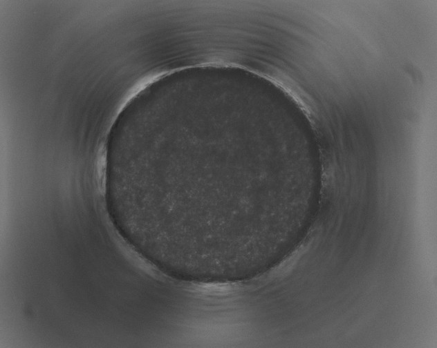 X0000116481126200912292041