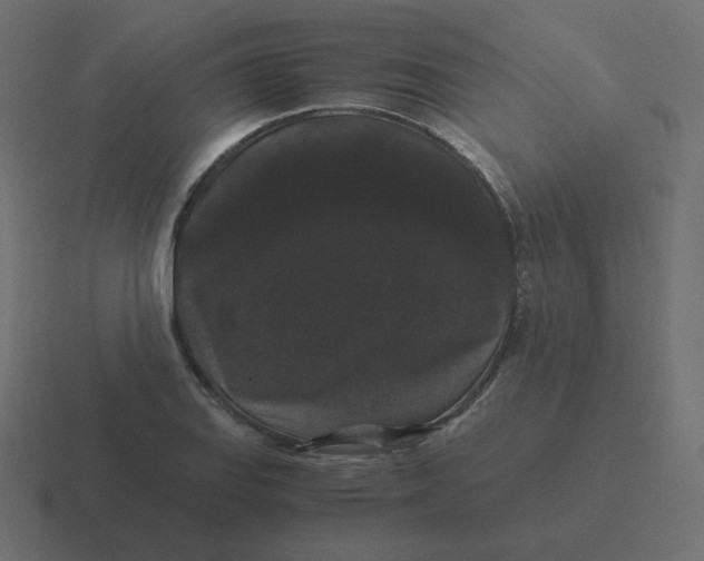 X0000116481127200912292041